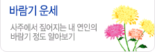 바람기 기질